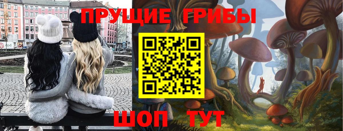 Минеральные Воды  Псилоцибиновые грибы мицелий  Псилоцибиновые грибы Cubensis  Вход с VPN 